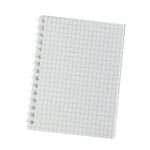 Cuaderno con Espiral Conquistador